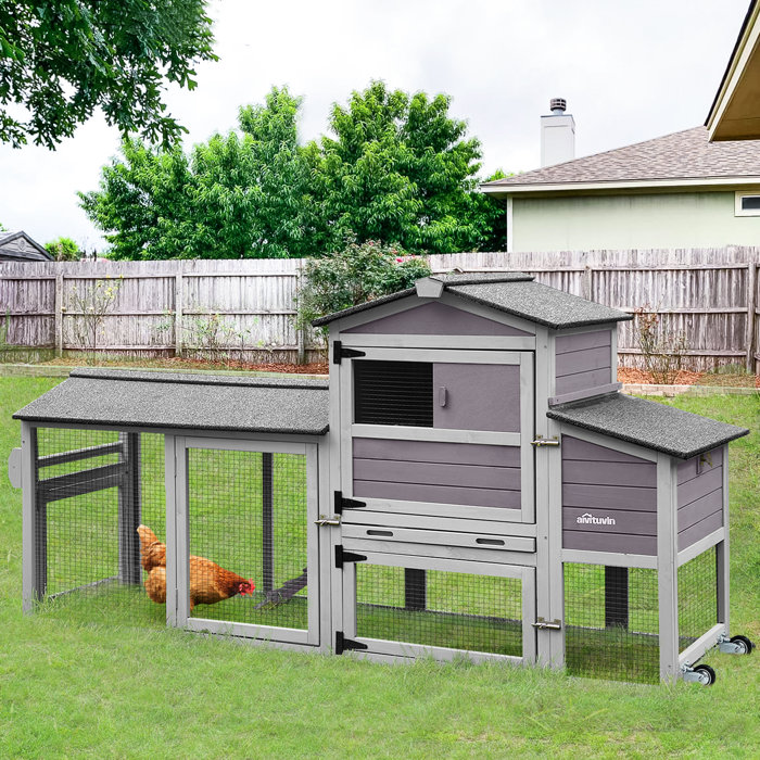 Tucker Murphy Pet™ Norhad 18.5 Square Feet Chicken Coop with Chicken Run & Reviews Wayfair